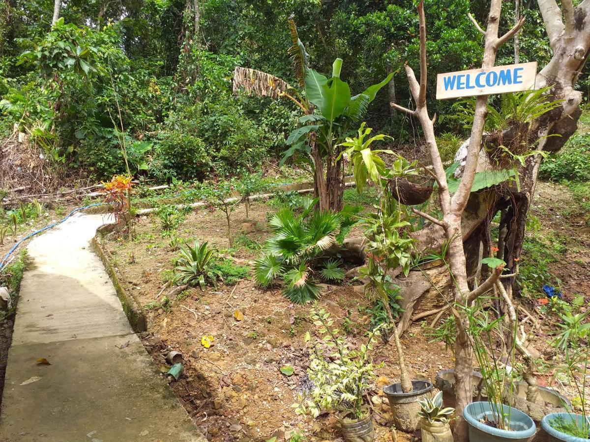 Forest Camp El Nido Zewnętrze zdjęcie